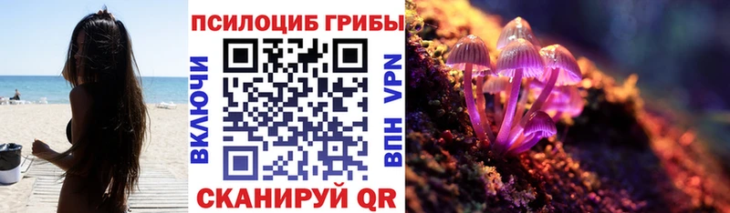 Галлюциногенные грибы Psilocybine cubensis Волчанск